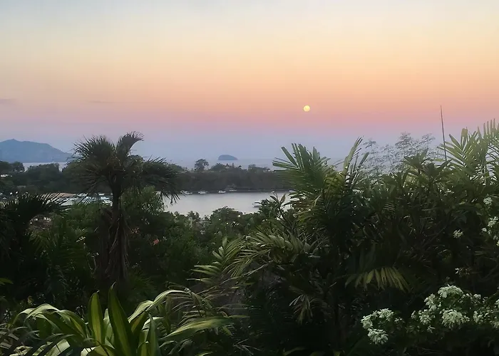 Manouria - Marcel 4* Padang Bai