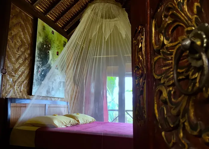 Manouria - Marcel Gasthof Padang Bai
