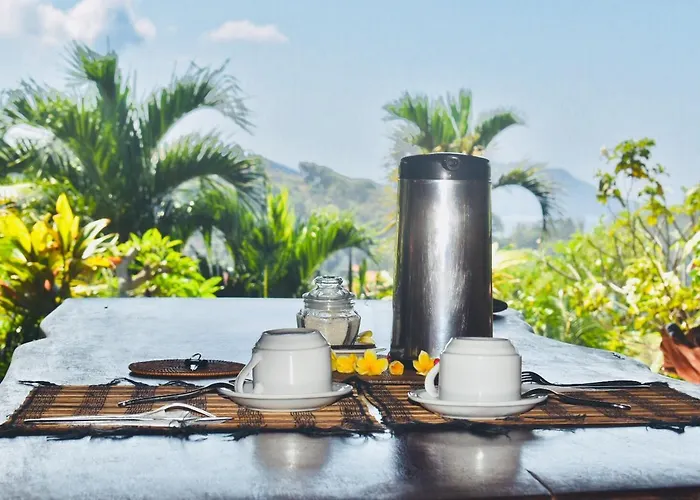 Manouria - Marcel 4* Padang Bai